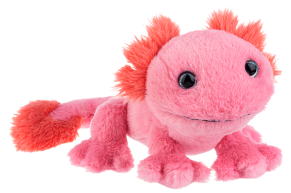Ganz : Pinkachu Axolotl