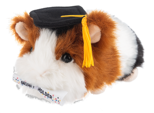 Graduation Guinea Pig