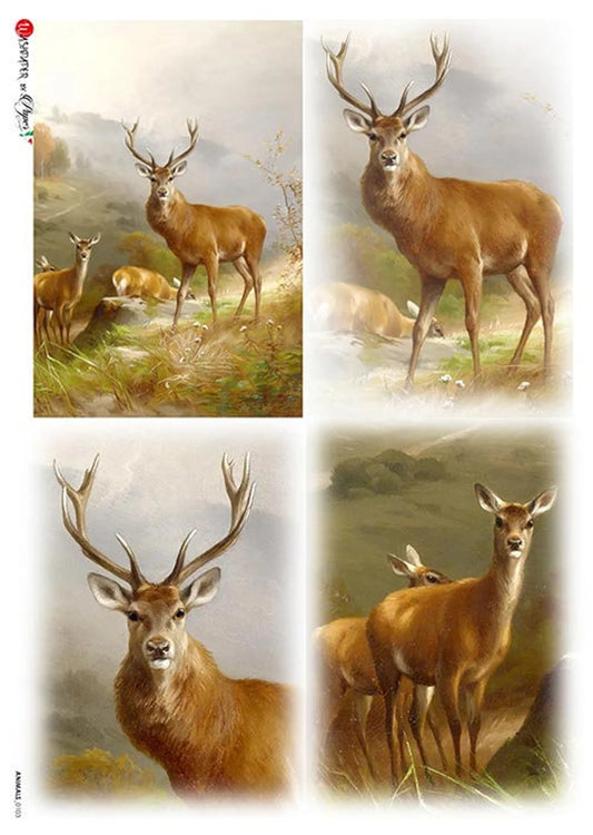 Paper Designs : Deer Cards Rice Paper A4