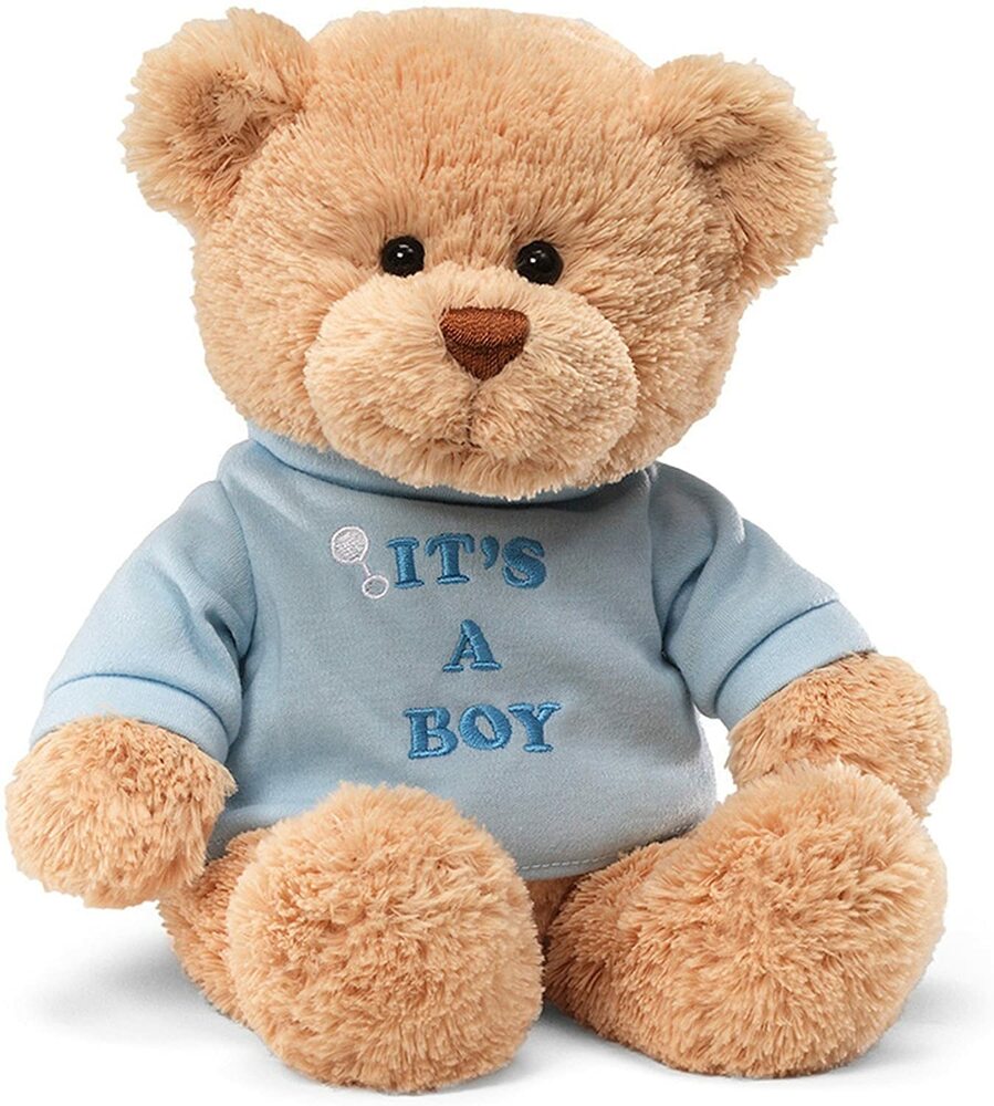It's A Boy Teddy Bear 12"