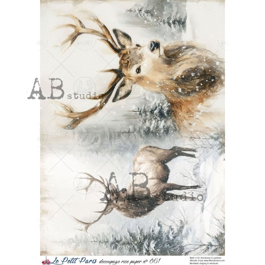 AB Studios - #861 2 Deer Images A4 Rice Paper