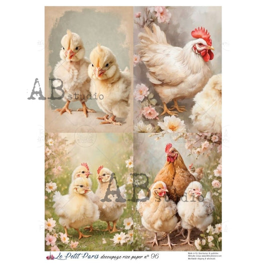 AB Studios Four Chicks and Hens Scenes A4 Rice Paper
