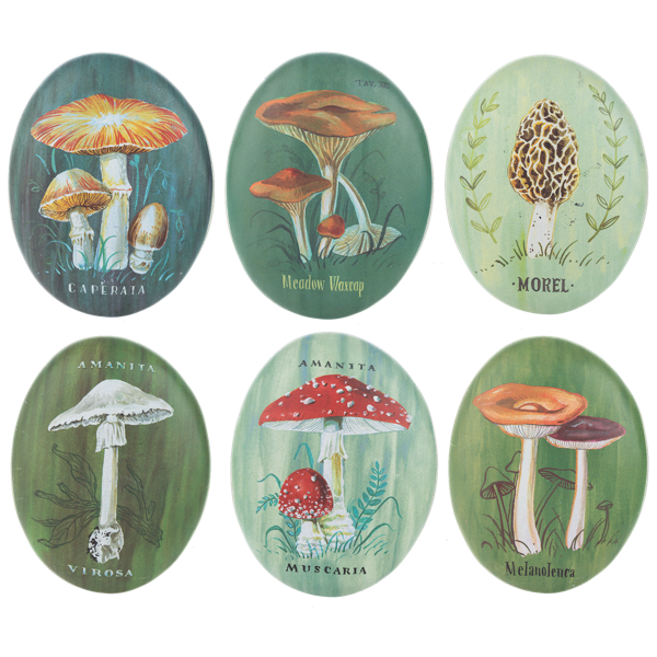 Mushroom Art Stones