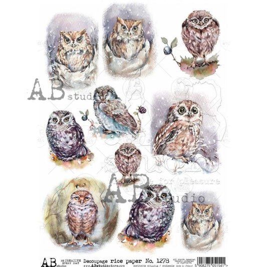 AB Studio : Owl Medallions A4