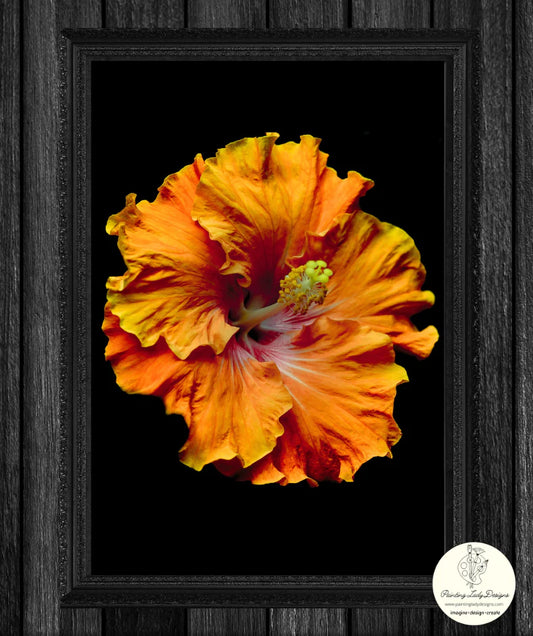 Painting Lady Designs - Night Flower Orange 24x36"