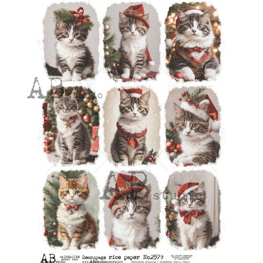 AB Studios : Nine Pack Christmas Kittens A4 Rice Paper