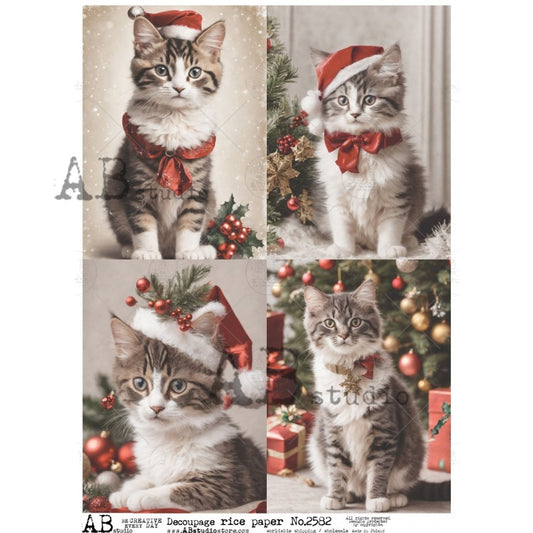 AB Studios : Four Pack Christmas Kittens A4 Rice Paper