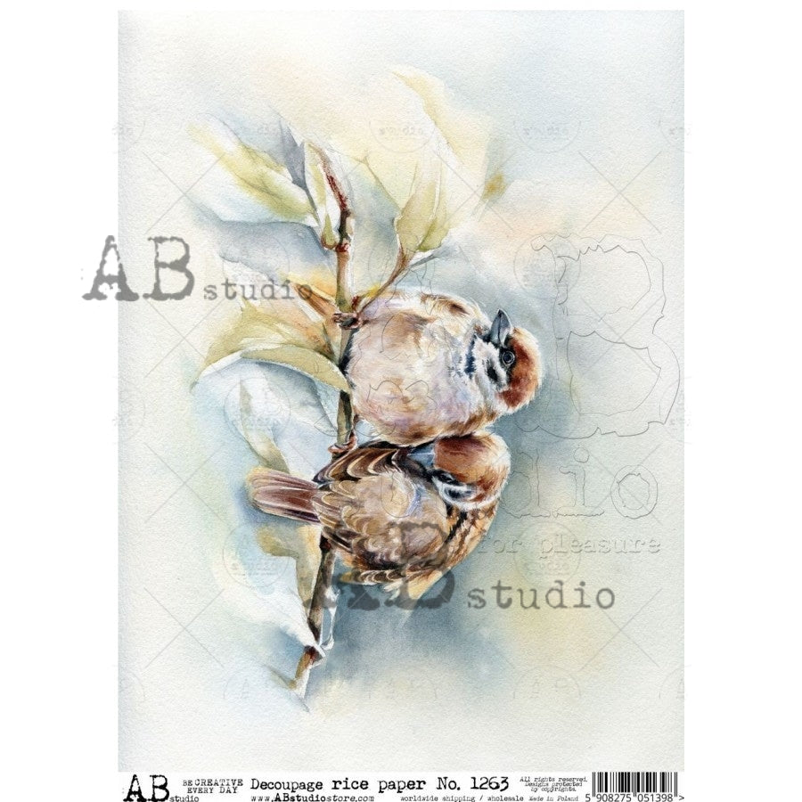 AB Studio : Watercolour Bird Pair