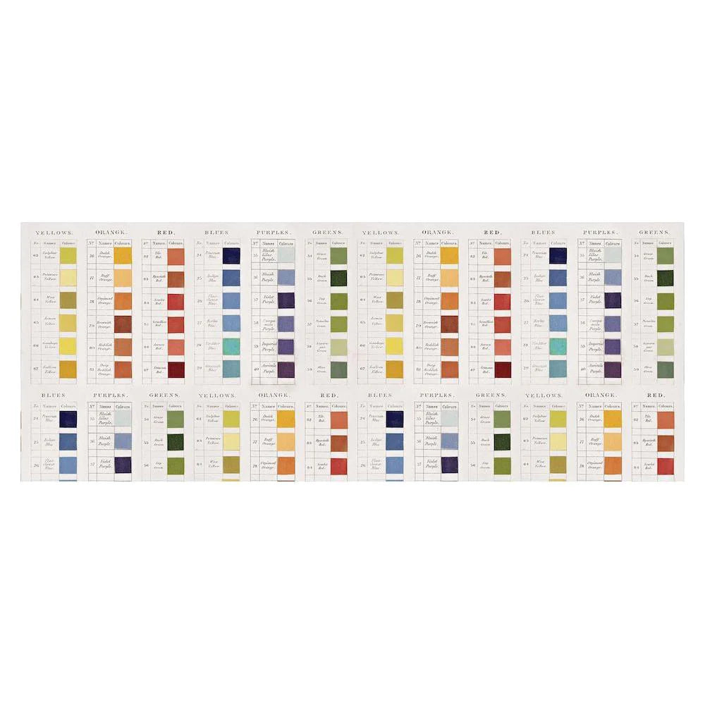 Tim Holtz Collage Paper Palette