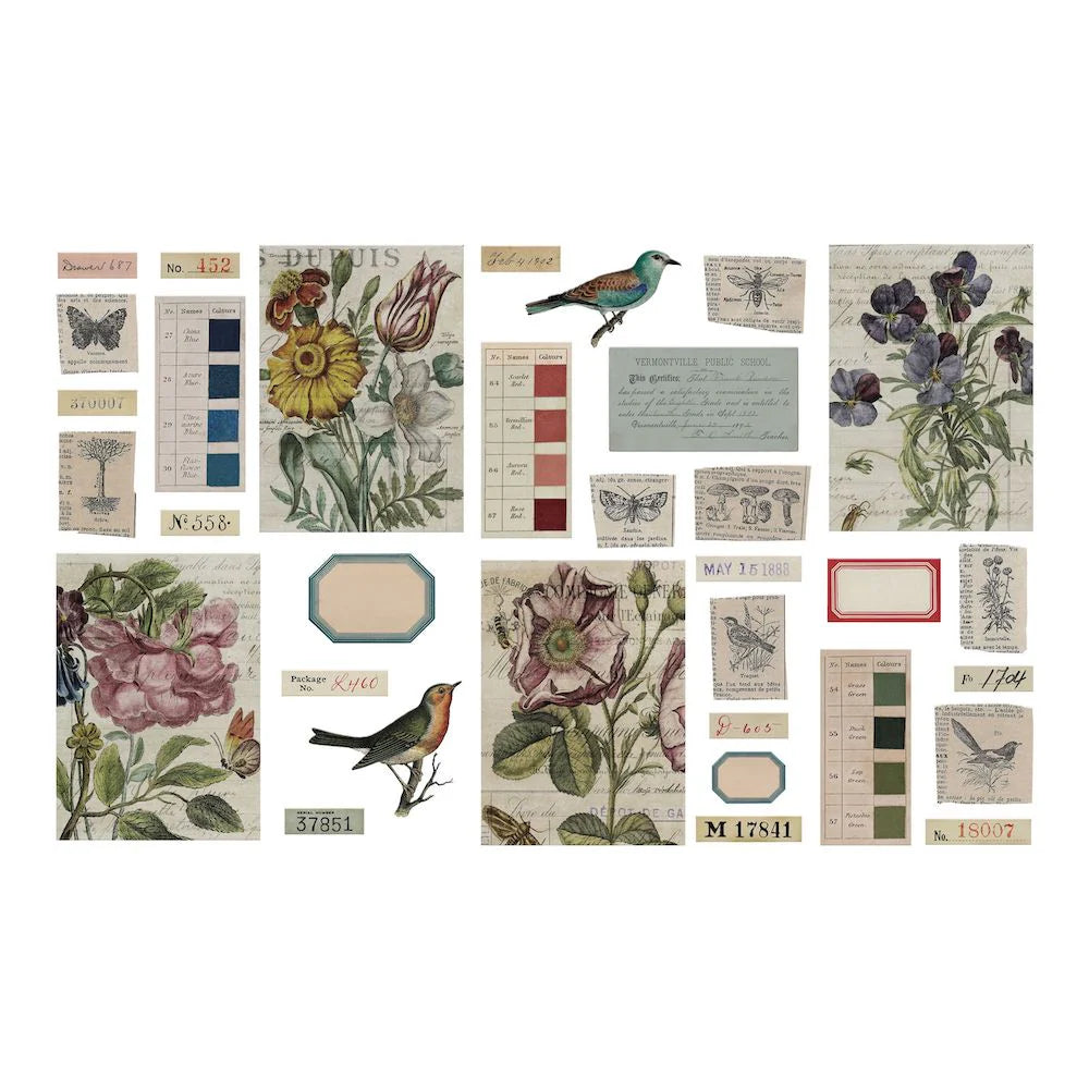 Tim Holtz Idea-Ology : Transparent Things 2