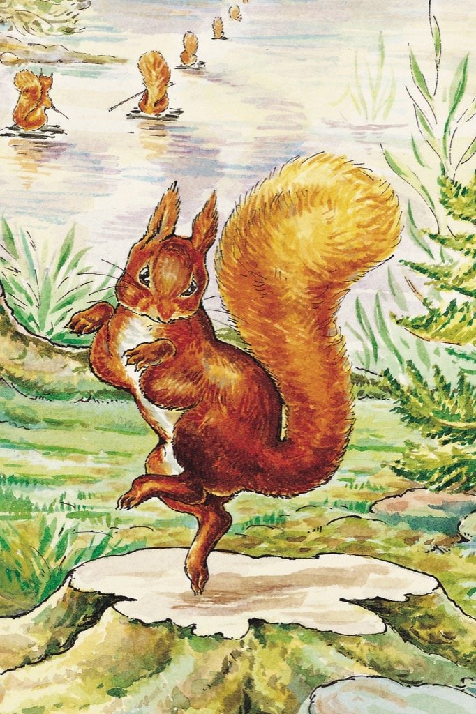 SQUIRREL NUTKIN MINI P