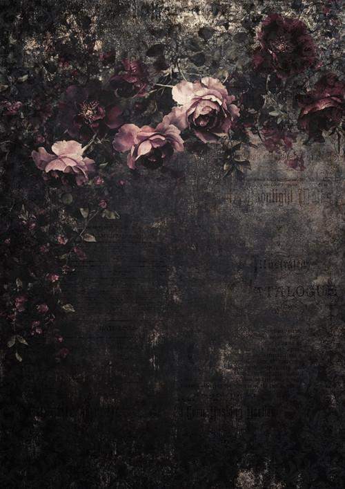 Decoupage Queen - Olga Heldwein - Moody Roses A4 & A3