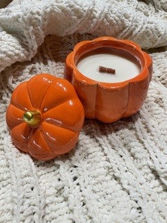 Nine Mile Spice 8oz Pumpkin Candle