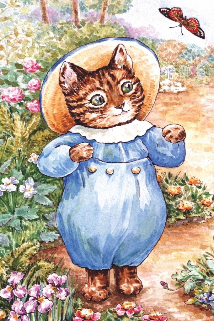TOM KITTEN MINI P