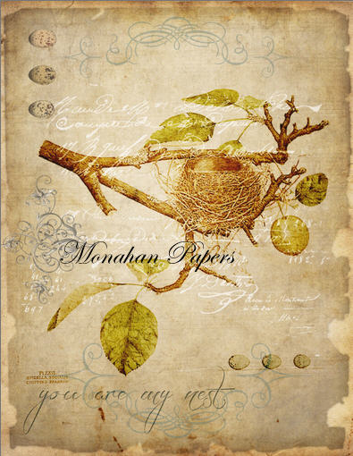 Monahan Papers - Birds, Nests & Florals Papers 11x17"