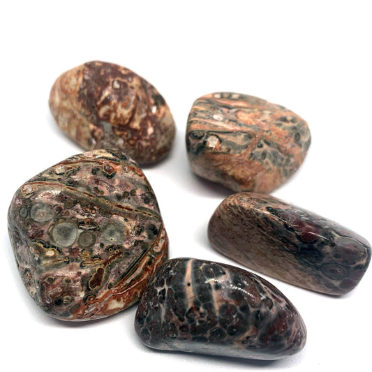 Leopardskin Jasper - Stone - Healing Properties